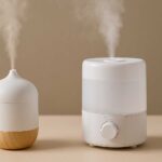 Can a Diffuser Be Used as a Humidifier?