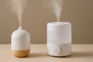 Can a Diffuser Be Used as a Humidifier?​